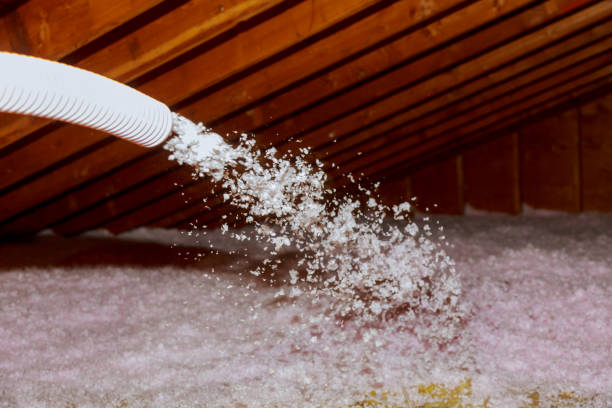 Best Energy Efficiency Solutions in St Clair Shores, MI