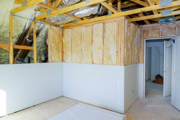 Best Insulation Installation Services in St Clair Shores, MI