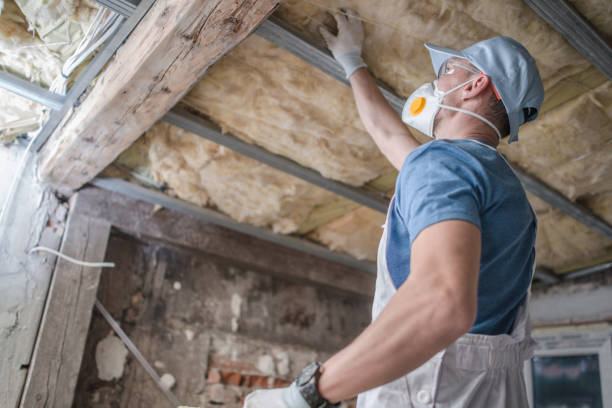 Best Insulation Maintenance and Repair in St Clair Shores, MI