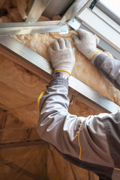 Best Commercial Insulation in St Clair Shores, MI