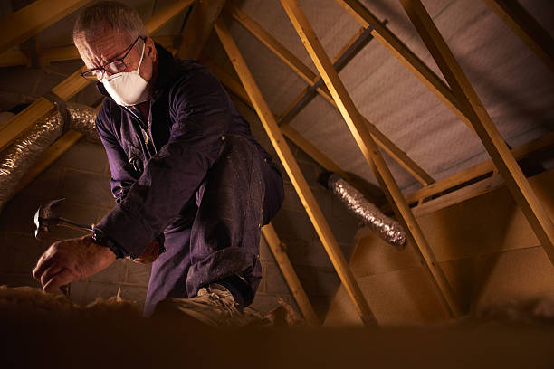 Best Specialty Insulation in St Clair Shores, MI